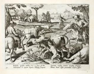 Chasse au bœuf sauvage, illustration de 